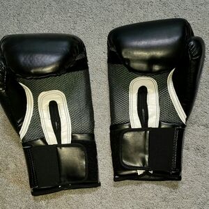 Boxing gloves Only (Bag has been sold)